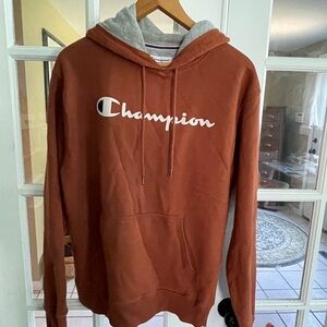 Champion Brown and Gray Sweaters Classic Pullover Style
